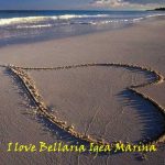 love belligea 2