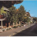 viale panzini