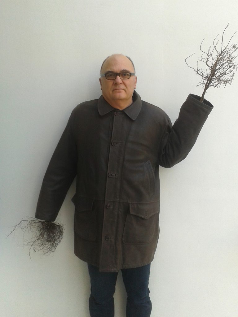 vento - dome albero 3 est